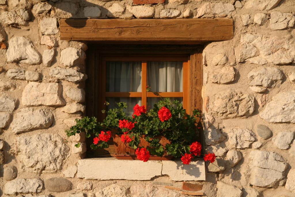 Agriturismo Al Picchio Villa Ala Exterior photo